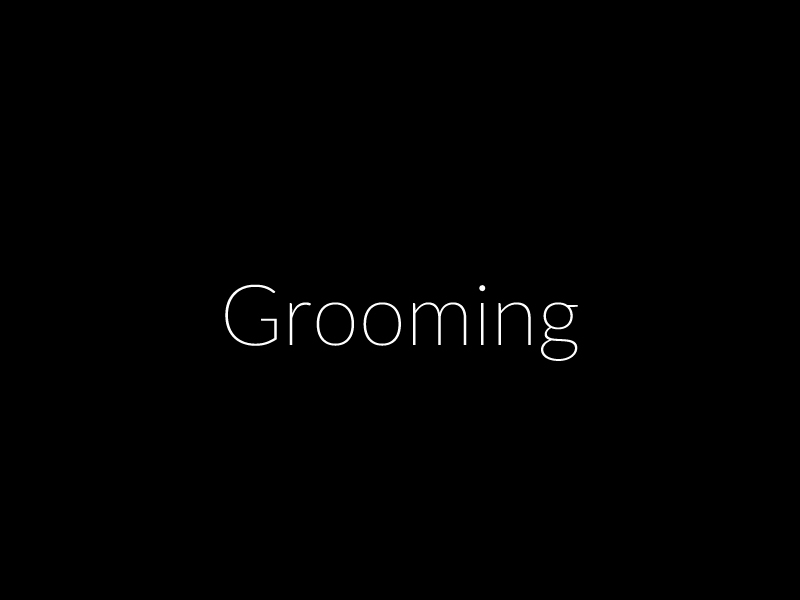 Grooming, czyli pedofilia w Internecie